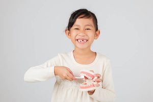 五歲換牙正常嗎 